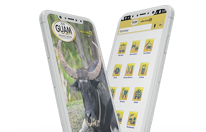 Phones with Guam Phone Book